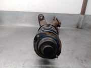 Achsschenkel Halter Links Vorne X17DTL Opel Astra F (55) Van 1.7 DTL (X17DTL)