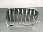 Grill 51117210725 BMW X4 (F26) SAC SUV xDrive35d 24V (N57-D30B)