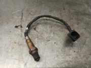 Lambdasonde 55572548 Opel INSIGNIA BERLINA 2.0 CDTI CAT