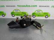 Zierleiste ACHTER ACHTER 6C1129396AB Ford Transit Van 2.2 TDCi 16V (P8FA)