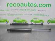 Gasdruckfedern Set Hinten 8200246092 Renault Vel Satis (BJ) Großraumlimousine 3.0 dCi V6 24V (P9X-701(Euro 3))