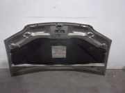 Motorhaube 46828725 Fiat Idea (350AX) Großraumlimousine 1.3 JTD 16V Multijet (188.A.9000)