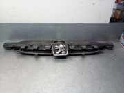 Grill 9635719477 Peugeot 307 (3A/C/D) SchrÃ¤gheck 1.6 16V (TU5JP4(NFU))