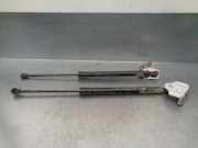 Gasdruckfedern Set Hinten 844308661R Renault CLIO IV 0.9