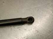 Gasdruckfeder Set Vorne 51237210727 BMW X4 (F26) SAC SUV xDrive20d 16V (B47-D20A)