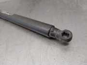 Gasdruckfedern Set Hinten 51800638 Lancia Musa Großraumlimousine 1.3 JTD Multijet 90 (199.A.3000)