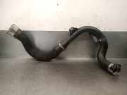 Schlauch 144606247R Dacia Sandero III Schrägheck 1.0 TCe 90 12V (H4D-470(H4D-E4))