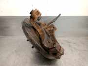 Achsschenkel Halter Links Hinten 43019EB300 Nissan Pathfinder (R51) SUV 2.5 dCi 16V (YD25DDTi)