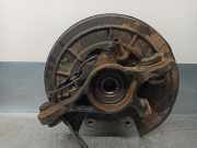 Achsschenkel Halter Links Hinten RLH500030 Land + Range Rover Discovery III (LAA/TAA) Geländewagen 2.7 TD V6 (276DT)
