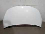 Motorhaube 39107632 Opel TOURER C (P12) 1.6 CDTI (75)