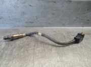 Kurbelwellen-Riemenscheibe 4M5Q6B319EA Ford Focus 2 Schrägheck 1.8 TDCi 16V (KKDA)