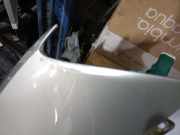 Kotflügel Rechts Vorne 5E0821106C Skoda III (5E3, NL3, NR3) 1.4 TSI