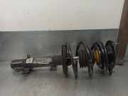 Türverkleidung Rechts Vorne 96515555ZL Citroën C2 (JM) Schrägheck 3-drs 1.4 HDI (DV4TD(8HX))