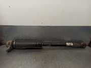 Nebelscheinwerfer Rechts Hinten 51848137 Fiat Panda/Pandina (312) Schrägheck 1.0 Mild Hybrid (46341162)