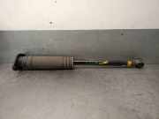 StoÃŸdÃ¤mpfer Links Hinten E62105FA0A Nissan Micra (K14) SchrÃ¤gheck 0.9 IG-T 12V (H4B)