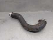 Schlauch L1B16F075AD Ford Fiesta 7 Schrägheck 1.0 EcoBoost 12V Hybrid 125 (B7JB)