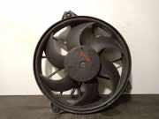 Kühlerventilator 1400821180 Peugeot Expert (G9) Van 1.6 HDi 90 (DV6UTED4(9HU))