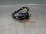 Computer Mercedes-Benz SL (R129) Cabrio 3.0 300 SL 24V (M104.981)