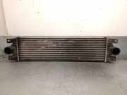 Ladeluftkühler 7701043695 Renault Master II (FD/HD) Van 2.8 dTi T35 (S9W-702)