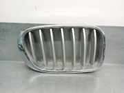Grill 51117210726 BMW X4 (F26) SAC SUV xDrive35d 24V (N57-D30B)