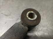 Sto?d?mpfer Rechts Hinten 2S6118080BL Ford Fiesta 5 (JD/JH) Schr?gheck 1.4 16V (FXJB)