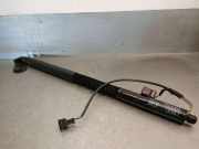 Gasdruckfedern Set Hinten 4G8827851F Audi A7 Sportback (4GA/4GF) Liftback 3.0 TDI Ultra V6 24V Quattro (CRTE)