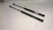 Gasdruckfedern Set Hinten 844300001R Renault III (BT0/1) 2.0 dCi (BT07, BT0J, BT14, BT1A, BT1S)