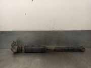 Stoßdämpfer Rechts Hinten 55700452 Fiat Punto Evo (199) Schrägheck 1.3 JTD Multijet Start&Stop 16V (199.A.9000)