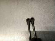 Gasdruckfeder Set Vorne 654707388R Renault ZOE (BFM_) ZOE