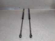 Gasdruckfedern Set Hinten 51778432 Fiat Punto Evo (199) Schrägheck 1.3 JTD Multijet Start&Stop 16V (199.A.9000)