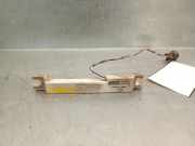 Antenne 285900007R Renault Grand Scénic III (JZ) Großraumlimousine 1.9 dCi 130 FAP (F9Q-872(F9Q-P8))