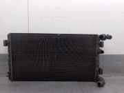 Radiator 1C0121201A Volkswagen New Beetle (9C1/9G1) SchrÃ¤gheck 3-drs 1.9 TDI 90 (ALH) ALH