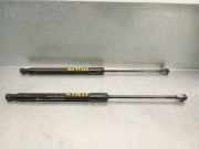 Gasdruckfedern Set Hinten 889500D022 Toyota Yaris II (P9) Schrägheck 1.4 D-4D (1NDTV)