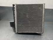 Klima Verdampfer 3C1820103B Volkswagen Passat (3C2) Limousine 2.0 TDI 16V Bluemotion (CBDC) CBDC