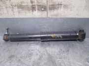 Stoßdämpfer Links Hinten 8200287404 Renault Kangoo (KC) Großraumlimousine 1.5 dCi 85 (K9K-718)