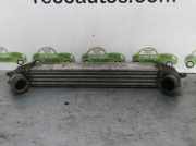 Ladeluftkühler 46849068 Fiat Doblo Cargo (223) Van 1.9 JTD (223.A.7000)