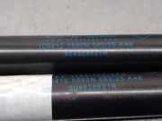 Gasdruckfedern Set Hinten 904528621R Dacia Logan Express (FS) Van 1.4 (K7J-710)