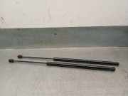 Gasdruckfedern Set Hinten 51247456042 BMW 1 serie (F40) Schrägheck 118i 1.5 TwinPower 12V (B38-A15F)