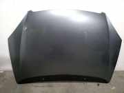 Motorhaube 7901H9 Citroën C5 I Berline (DC) Schrägheck 2.0 HDi 110 (DW10ATED(RHZ))