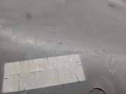 TÃ¼rverkleidung Links Vorne 7700313074 Renault II Furgoneta (FL) 2.0 dCi 90 (FL0H)