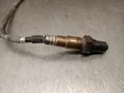 Lambdasonde 3M519G444BB Ford Focus 2 Schrägheck 1.6 16V (HWDA)