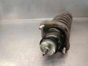 Dritte Bremsleuchte XS4X13A613AB Ford Focus 1 Schrägheck 1.8 TDCi 115 (F9DA)