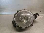 Nebelscheinwerfer Links Vorne 63177187629 BMW (E71, E72) xDrive 35 d