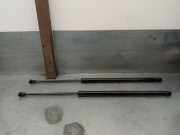 Gasdruckfedern Set Hinten 904506PA0A Nissan Juke (F16) SUV 1.0 DIG-T 117 12V (HRA0)