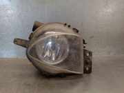 Nebelscheinwerfer Rechts Vorne 6310100001 BMW 3 serie Touring (E91) Kombi 320d 16V (N47-D20A)