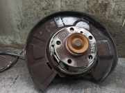Achsschenkel Halter Rechts Hinten BMW 3 serie Gran Turismo (F34) SchrÃ¤gheck 330d 3.0 24V (N57-D30A)