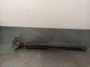 Stoßdämpfer Links Hinten 55700452 Fiat Punto Evo (199) Schrägheck 1.3 JTD Multijet Start&Stop 16V (199.A.9000)