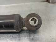 Sto?d?mpfer Rechts Hinten 51891929 Ford Ka II Schr?gheck 1.2 (169.A.4000)