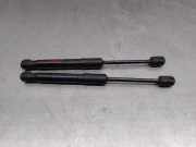 Gasdruckfeder Set Vorne 51237419387 BMW 3 serie Touring (G21) Kombi 320i 2.0 TwinPower Turbo 16V (B48-B20A)