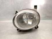 Nebelscheinwerfer Links Vorne 8T0941699 Audi A5 Quattro (B8C/S) Coupé 3.0 TDI V6 24V Quattro (CAPA)